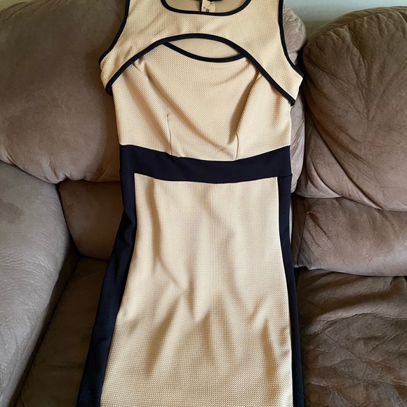 Ashley Stewart Dresses & Skirts - Women (plus size) Tan with Black Trim Dress